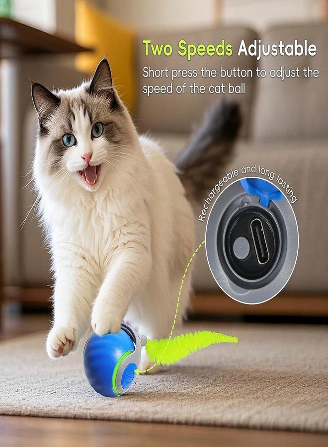 Bitrexup لعبة Bitrexup Speedy Tail Cat Toy 2.0، كرة تفاعلية للقطط المنزلية التي تشعر بالملل، كرة لعب متحركة تلقائيًا، سرعتان قابلتان للتعديل مع ذيل بديل - Image 4
